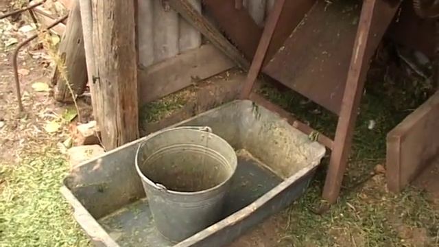 Кормление мускусных уток смотреть онлайн