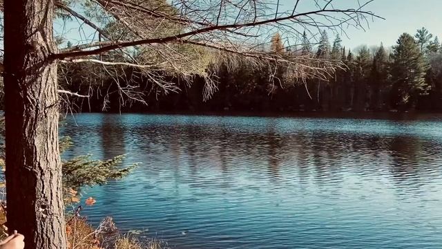 Японская музыка для любителей природы смотреть онлайн