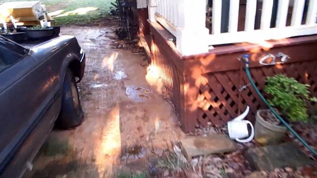 New Adenium Hybrid - Result (I Crossed Double Petal Dark Red A. Obesum With Semi Dwarf  A. Arabicum