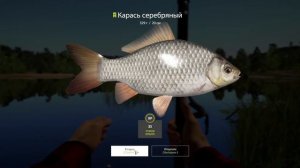 РУССКАЯ РЫБАЛКА 4 | РР4 - #3 КАРАСИ НА МАХОВОЕ УДИЛИЩЕ, оз. КОМАРИНОЕ