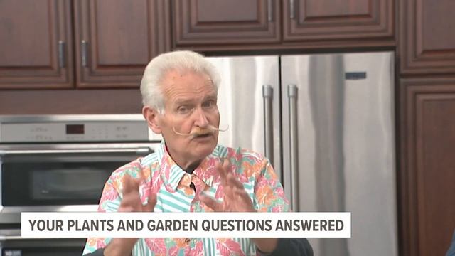 How & when to trim black walnut trees | Plants and Garden with Craig Jan. 31, Part 2 смотреть онлайн