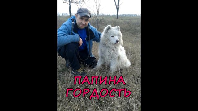 DJESSMAY #самоеды #DJESSMAY