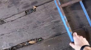 Как сделать ВЕЛОСИПЕД С КОЛЯСКОЙ?