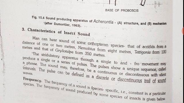 Effector organs of insects, MSc. смотреть онлайн