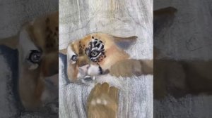 Рисуем леопарда вместе | How to draw a leopard | Как нарисовать леопарда.