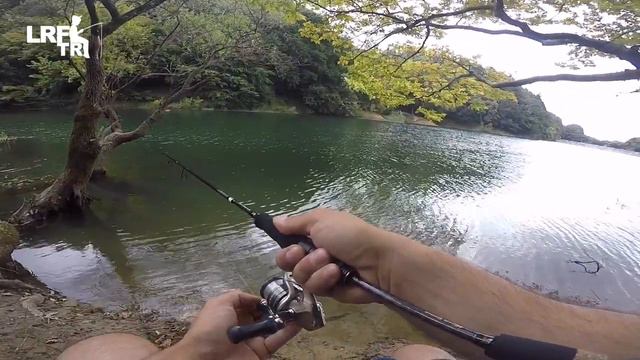 Savage Gear SG2 Micro Game 1-3.5g Kamış İncelemesi смотреть онлайн