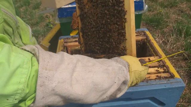 Экстренное расширение! Еще чуть-чуть и ройка! смотреть онлайн