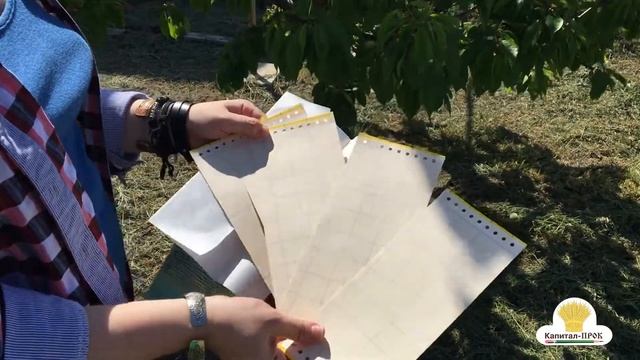 Самая эффективная защита овощей, фруктов, ягод от тли, муравьев, гусениц Машенька защитный экран смотреть онлайн