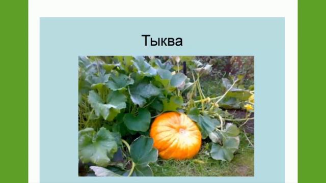 Флорадар и его применение Т. Севостьянова смотреть онлайн