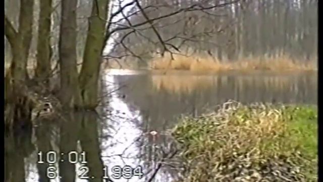 Hochwasser an der Peene in Loitz, Görmin, Trantow 1994 смотреть онлайн