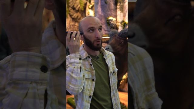 Омар похож на барана? | Омар в Большом городе смотреть онлайн