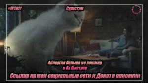 Супрастин — «Аллергия больше не кошмар» в 8х быстрее | PRO Рекламу