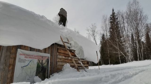 Будни в тайге, подготовка к охоте на медведя, упал с крыши зимовья. Сибирь, Март 2023 смотреть онлайн