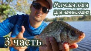 Матчевая ловля для начинающих_3 ЧАСТЬ_Ловим леща