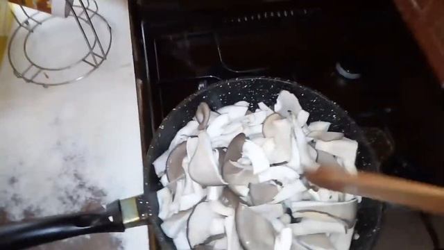 Как поджарить вешенку. Вторая волна, сбор урожая. Гигрометр психрометрический ВИТ 1 смотреть онлайн