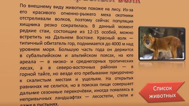 Красная книга смотреть онлайн