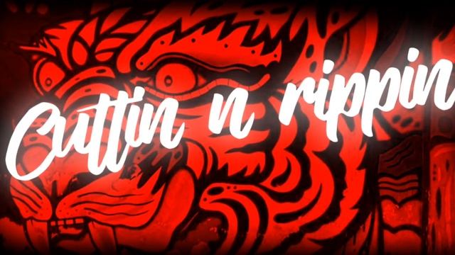 Groovy Tiger смотреть онлайн