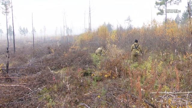 Работники леса в Братске отметили профессиональный праздник смотреть онлайн