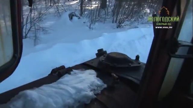 Раcчистка лесной дороги смотреть онлайн