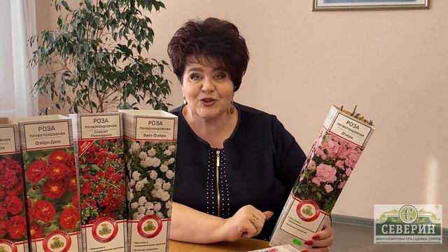 ЦВЕТУЩИЙ КОВЕР НА ВАШЕМ УЧАСТКЕ!!! смотреть онлайн