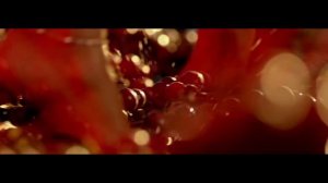 Dan Balan ft. Tany Vander & Brasco - Lendo Calendo (Remix)