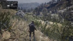 Где найти на карте всех арабских лошадей в Red Dead Redemption 2