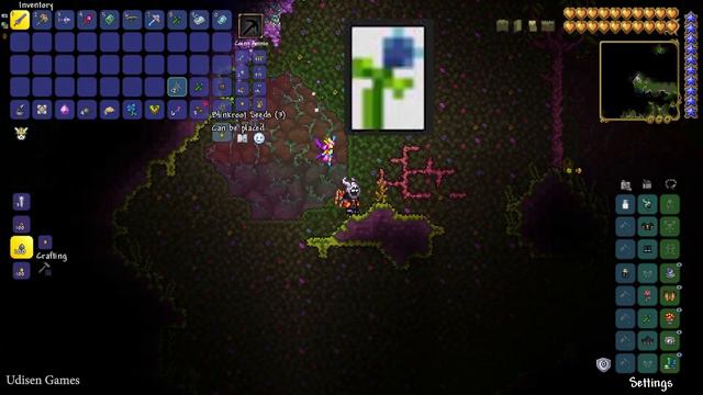 Terraria how to get Mana Flower (EASY) (2024) | Terraria how to get Nature Gift (EASY) смотреть онлайн