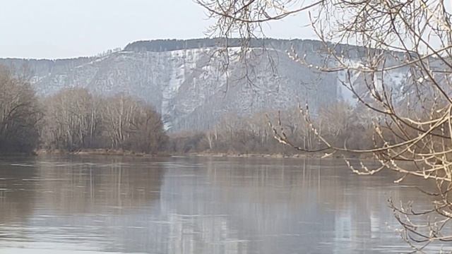 Размыло берег / Торчат корни деревьев / смотреть онлайн