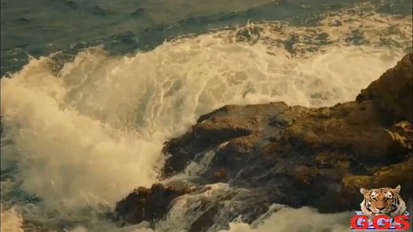 Свадьба у Наташки