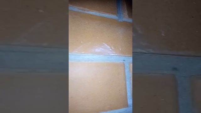 Светлоярский кирпич