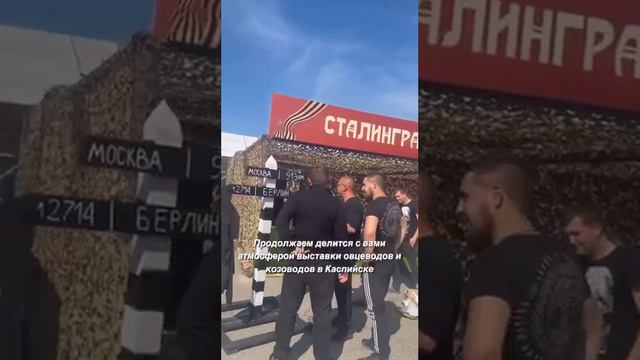 Друзья, продолжаем делится с вами атмосферой с выставки овцеводов и козоводов в Каспийске #Аскор смотреть онлайн