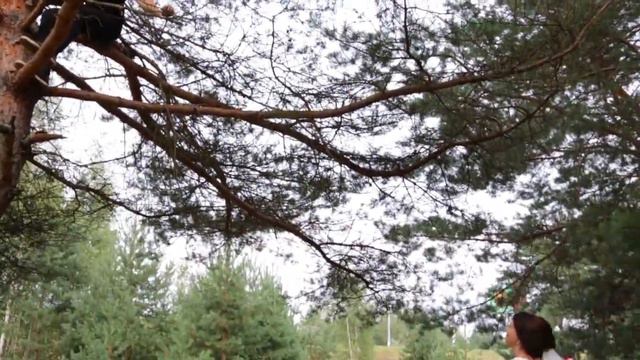 что не сделаешь ради интересного ракуса смотреть онлайн