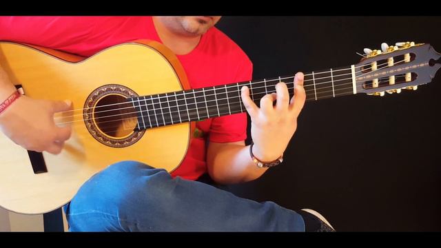 Victor Bona Flamenco spanish guitar. Cedar top & cypress body смотреть онлайн