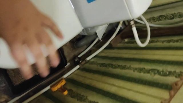 (не одно животное невыжело) как правельно помыть кота в унитазе? смотреть онлайн