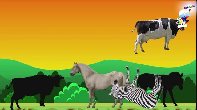 Викторина для детей МИЛЫЕ ЖИВОТНЫЕ Корова, кошка, лошадь, акула, лунный жук, зебра. Угадай викторина смотреть онлайн