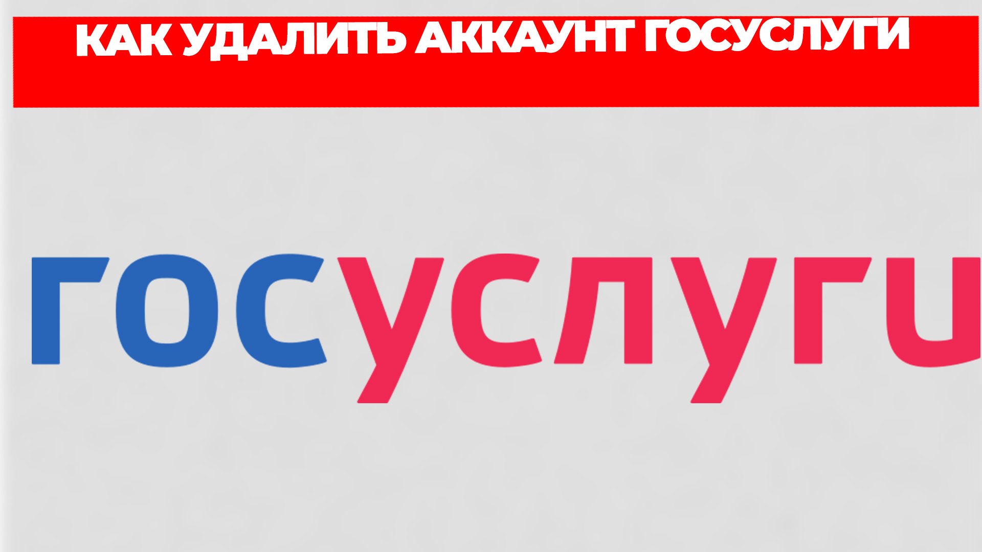 Всезнающий Енот