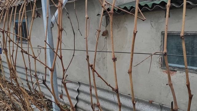 Ландыш. Что не так и как этому противостоять смотреть онлайн