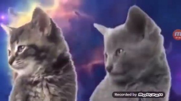 Музыка пра Катов