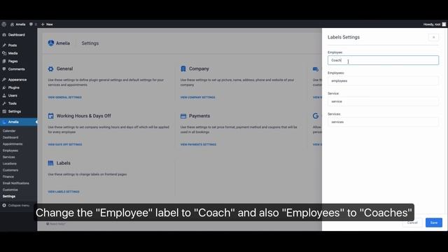 How to customize labels in the Appointment Booking form in WordPress - Amelia Booking Plugin смотреть онлайн