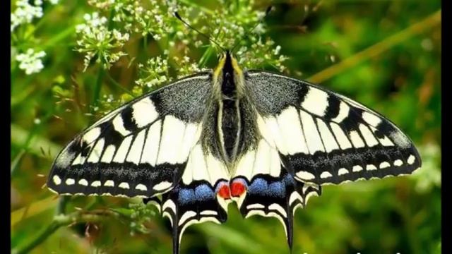 прогноз на неделю с 26 марта по 1 апреля 2018 смотреть онлайн