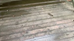 Состояние террасы из лиственницы после зимы.Что будет,если не ухаживать.