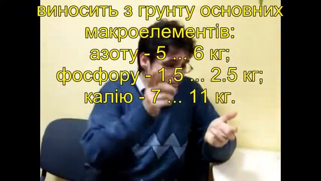 300 кг чеснока с сотки... смотреть онлайн
