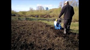 Культивирую заточенными гусиными лапками на мотоблоке Нева