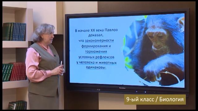 “Dərs vaxtı”:9-cu sinif dərsləri ( rus bölməsi) (30.04.2021) смотреть онлайн