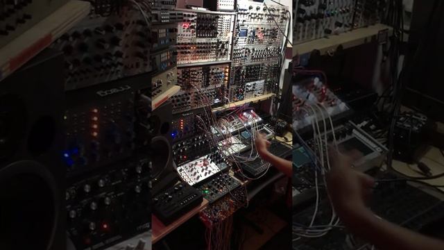 Make Noise QMMG Squelch w Jungle - Baseck смотреть онлайн