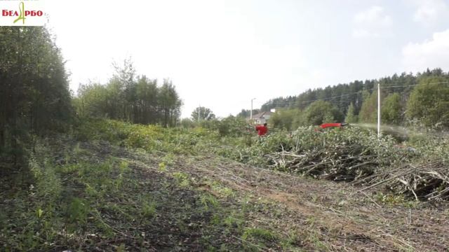 Расчистка участка от зарослей