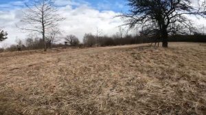 Покатушки на мотоблоке Беларус-09Н. Дрова.