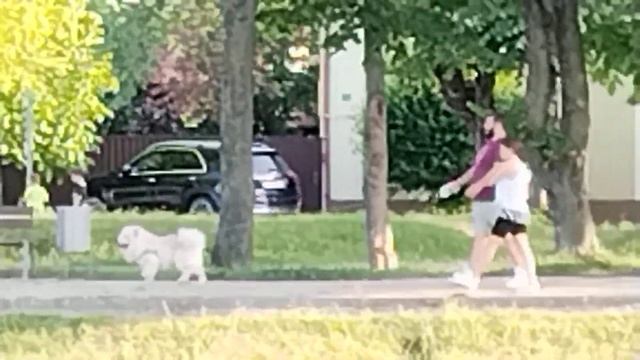 Honor Magic4 Lite, Video Sample (Zoom) смотреть онлайн