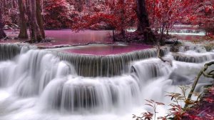 Аманту Билляхи