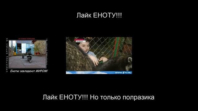 Танец енота смотреть онлайн